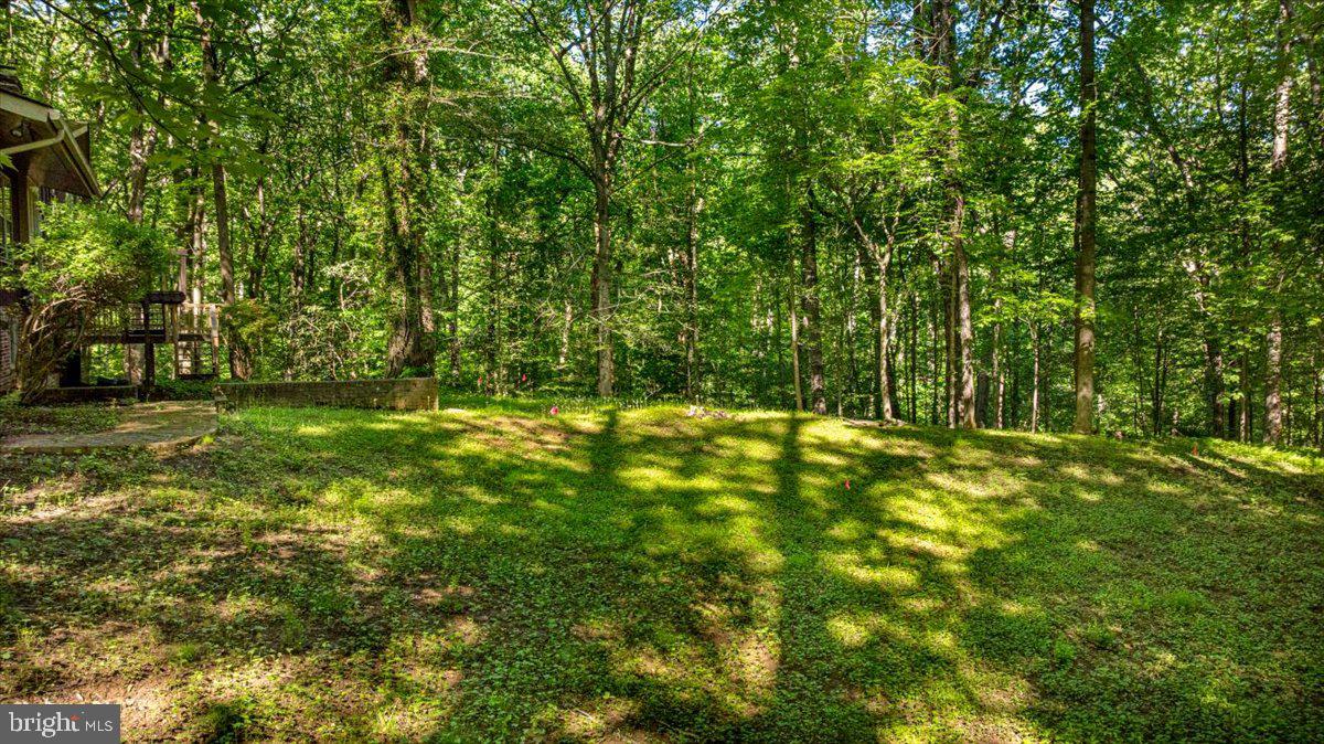 7818 Georgetown Pike McLean, VA 22102 - Photo 11 of 25 a view of yard with green space