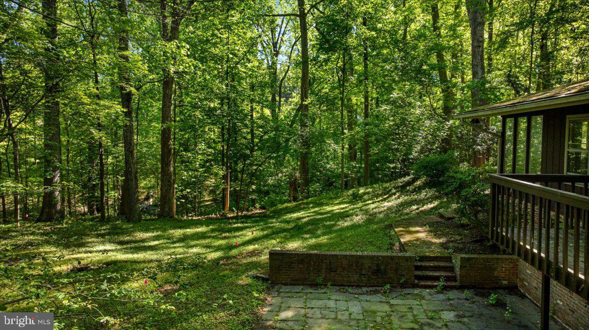 7818 Georgetown Pike McLean, VA 22102 - Photo 12 of 25 a view of outdoor space and yard
