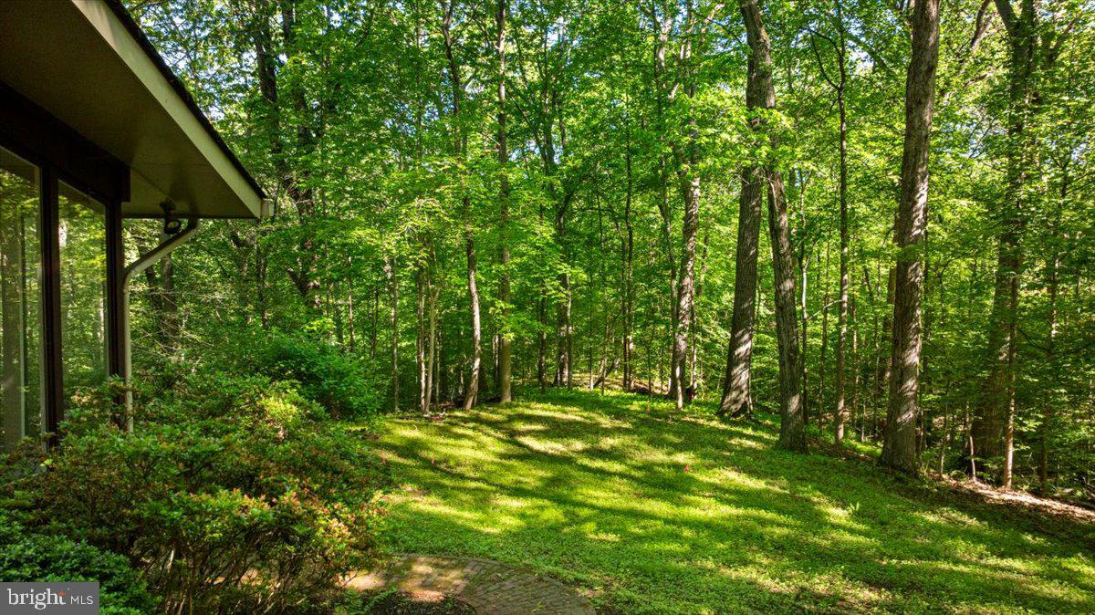 7818 Georgetown Pike McLean, VA 22102 - Photo 13 of 25 a backyard of a house with lots of green space