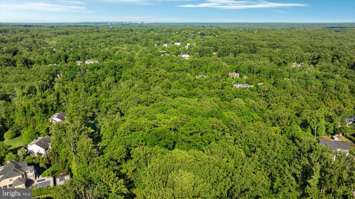 7818 Georgetown Pike McLean, VA 22102 - Photo 17 of 25 a view of a big yard with lots of bushes