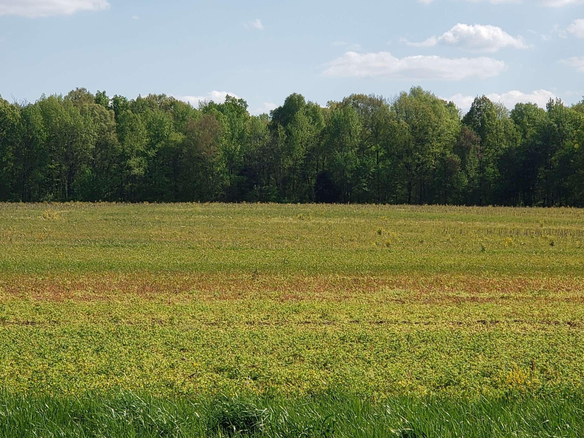 0 Cowan Road North Springfield, TN 37172 - Photo 1 of 19 a view of an ocean