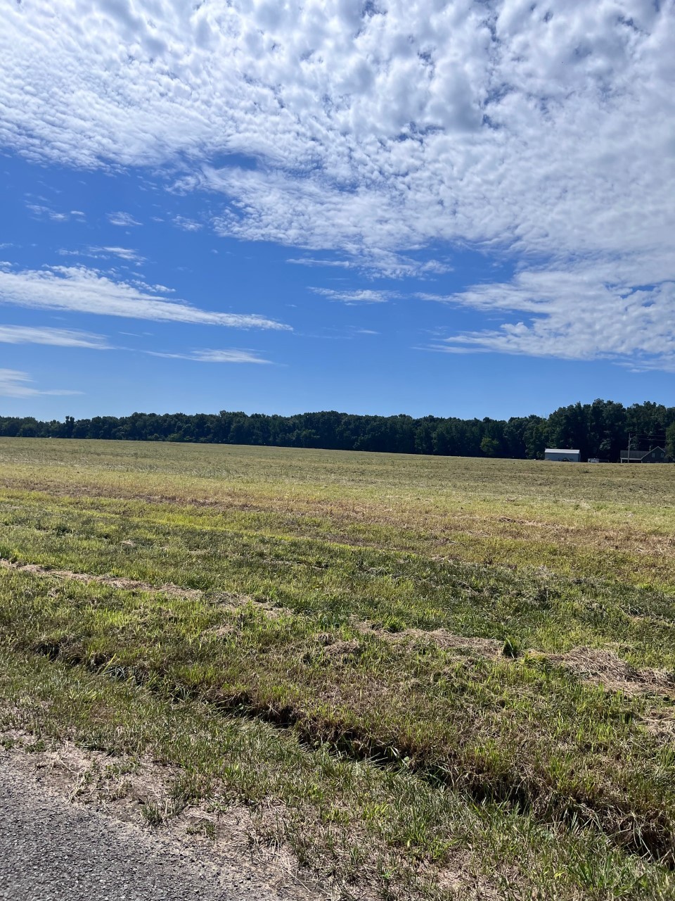 0 Cowan Road North Springfield, TN 37172 - Photo 15 of 19 a view of an ocean