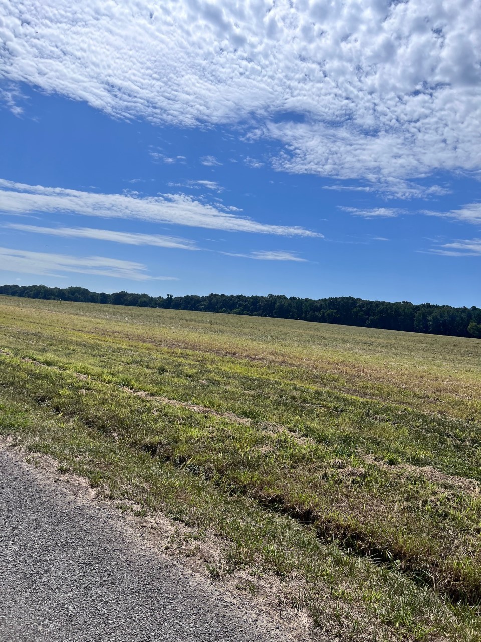 0 Cowan Road North Springfield, TN 37172 - Photo 16 of 19 a view of an ocean and beach