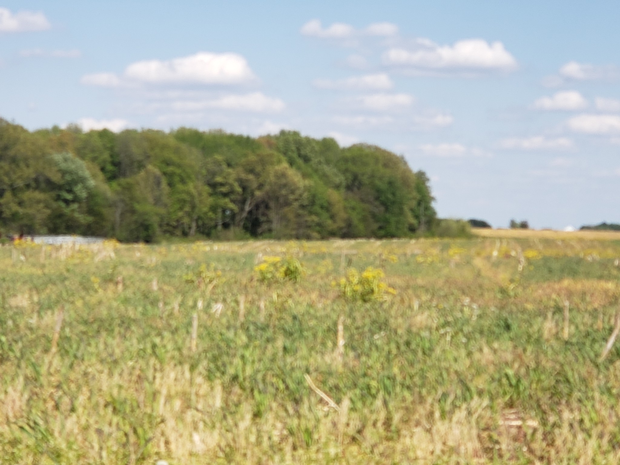 0 Cowan Road North Springfield, TN 37172 - Photo 2 of 19 a view of ocean
