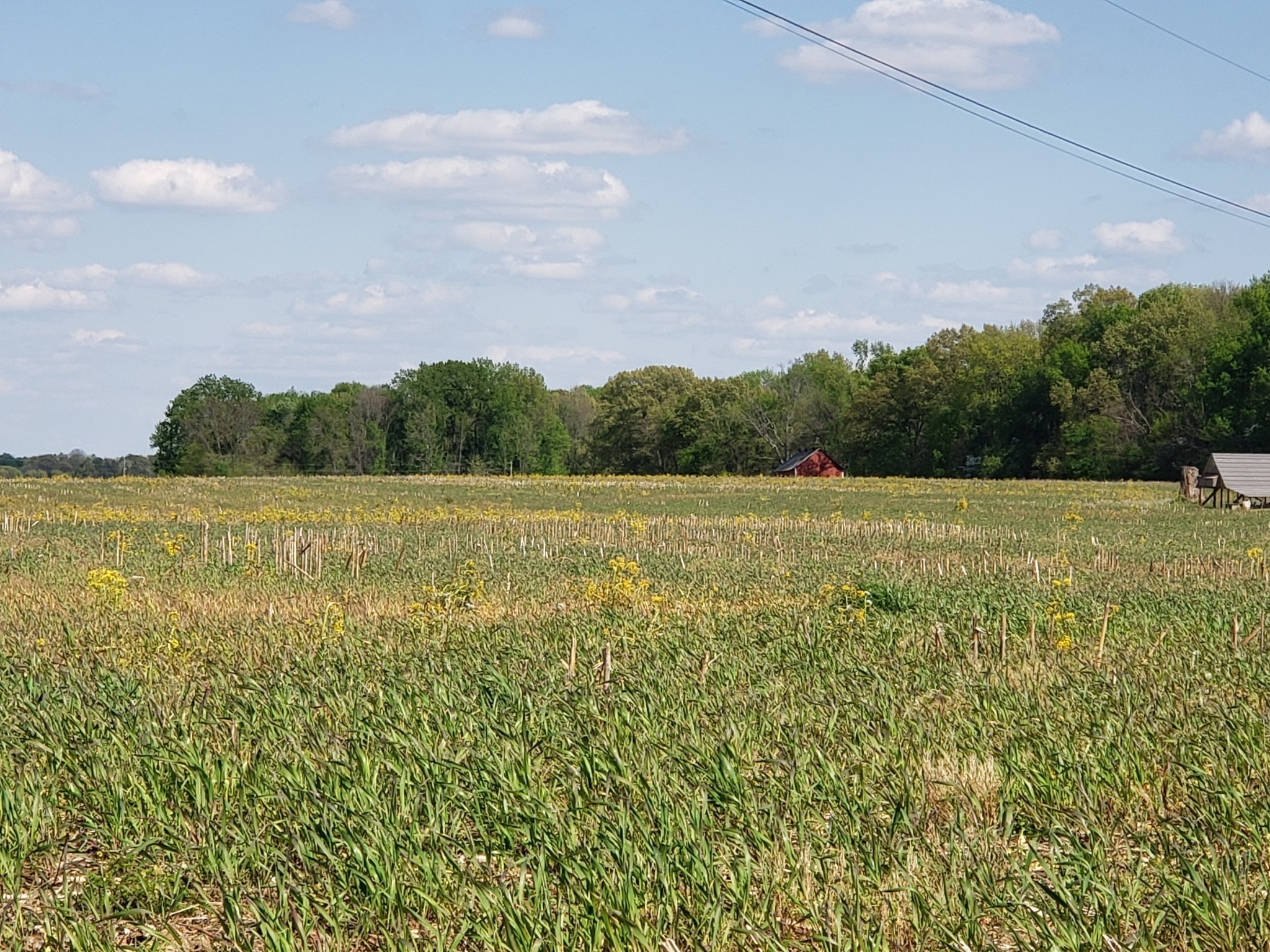 0 Cowan Road North Springfield, TN 37172 - Photo 5 of 19 a view of a field with an ocean
