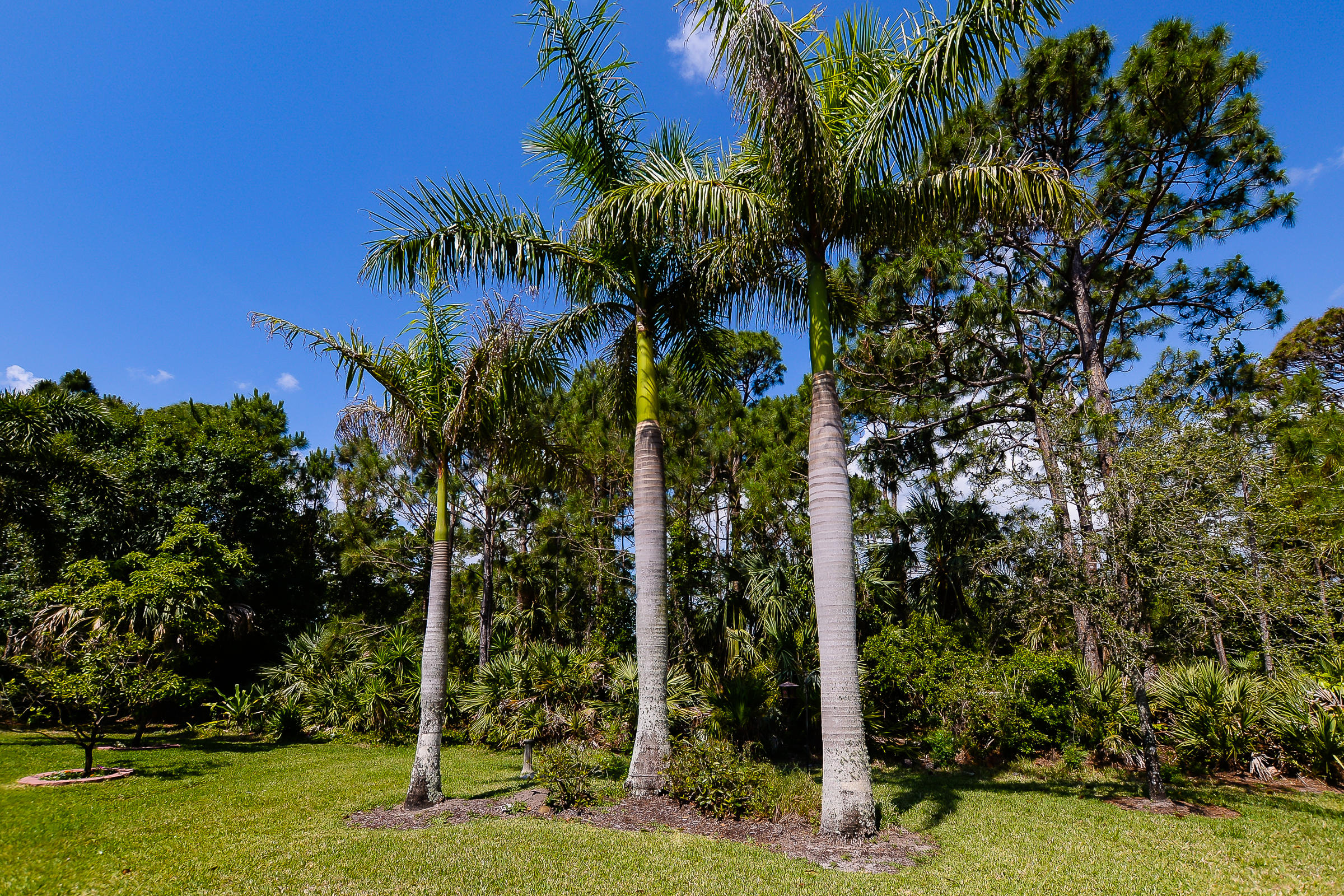 5653 Spanish River Road Fort Pierce, FL 34951 - Photo 33 of 45 LR-3505
