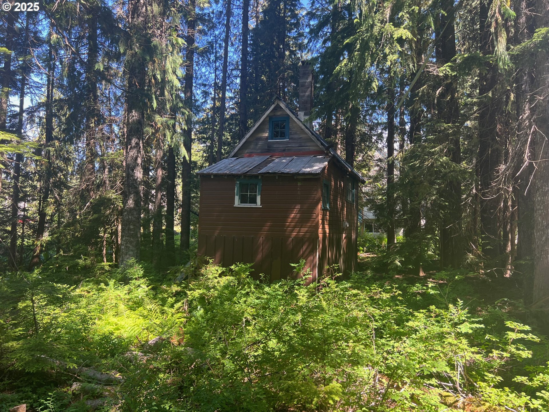 88792 Government Camp Loop Government Camp, OR 97028 - Photo 5 of 10 a house is sitting in middle of forest
