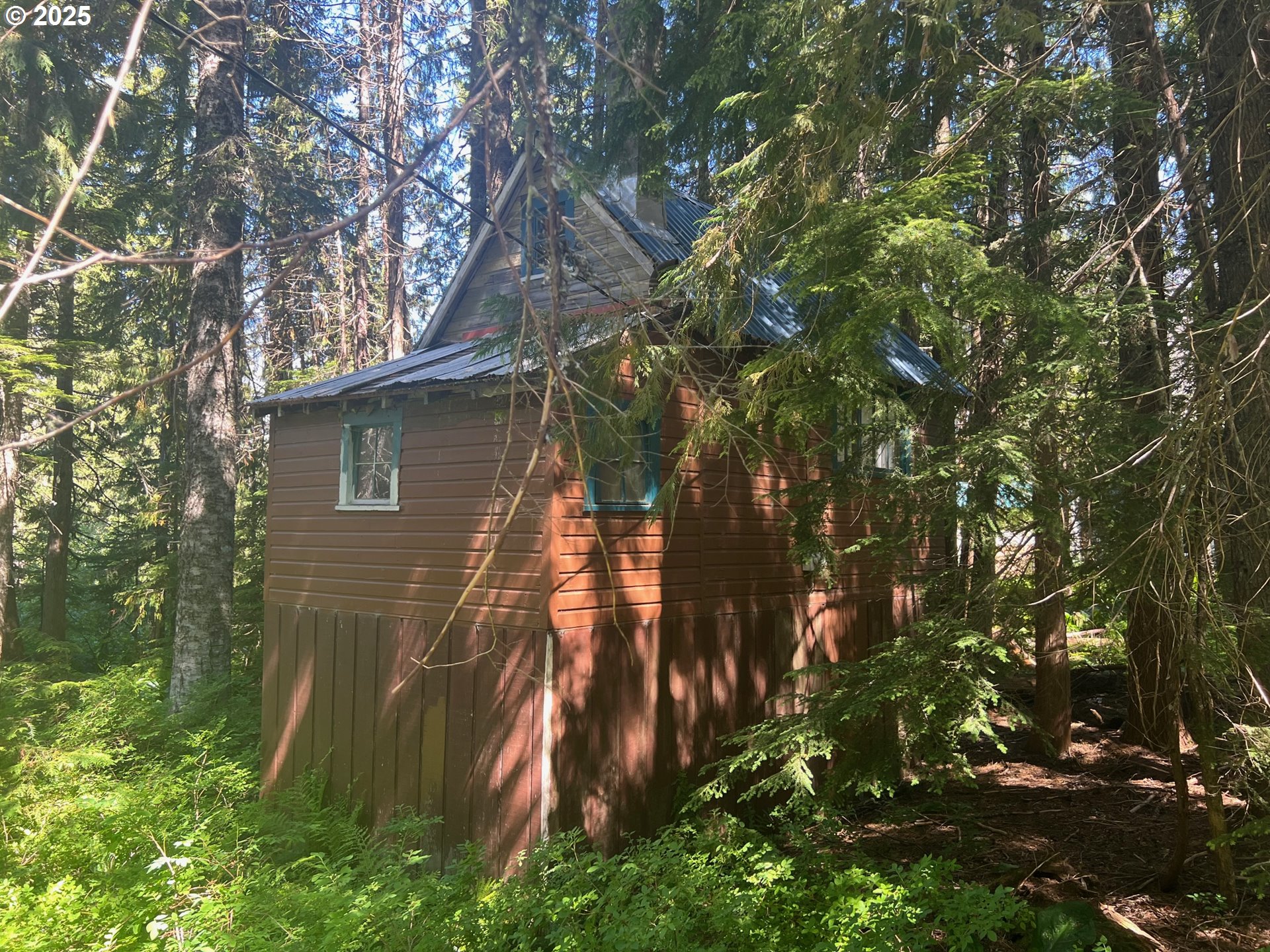 88792 Government Camp Loop Government Camp, OR 97028 - Photo 6 of 10 a backyard of a house with lots of trees