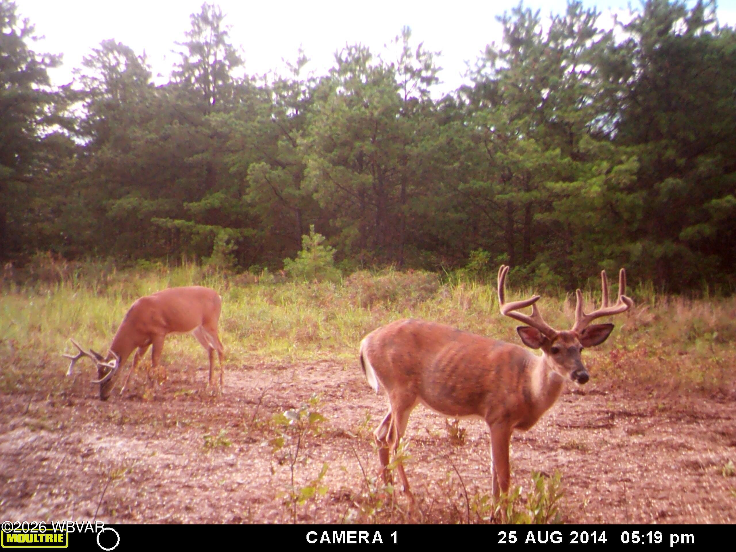 Iron Gate Road Beech Creek, PA 16822 - Photo 20 of 20 Gallery Image 20