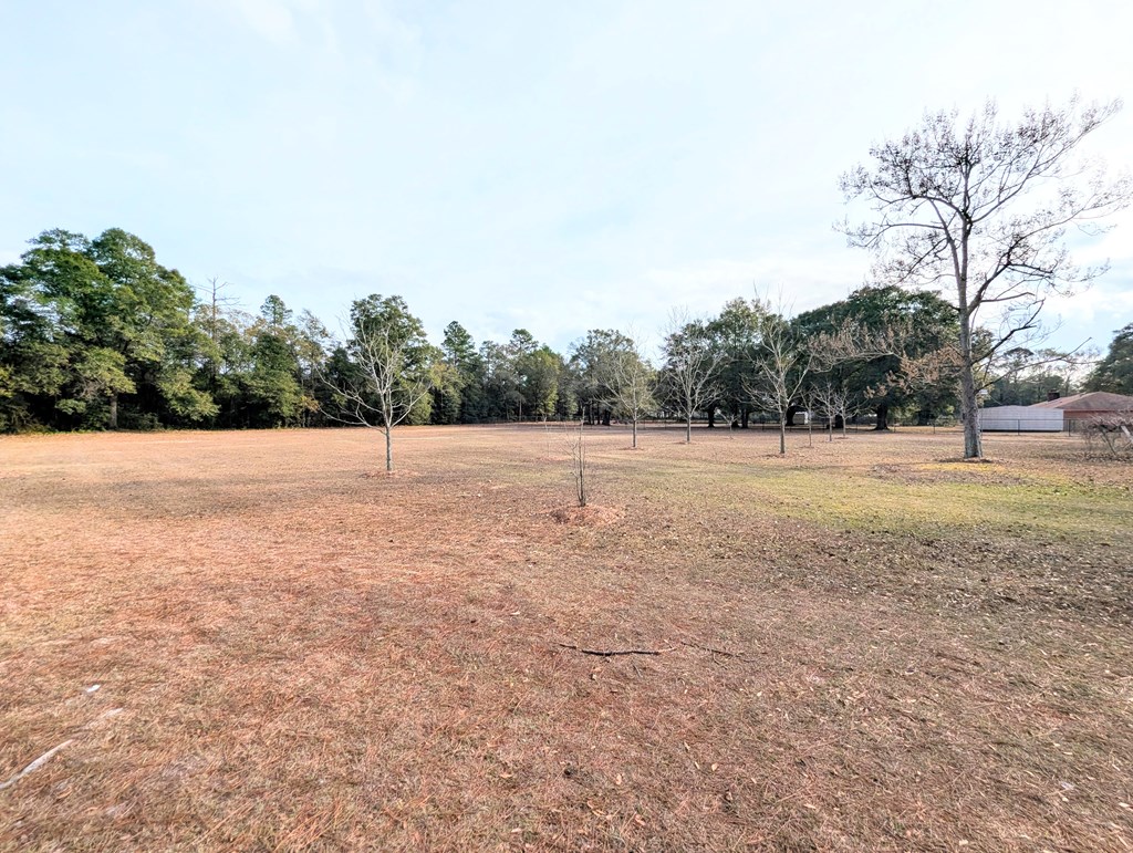 3117 Holland Road Newton, AL 36352 - Photo 62 of 71