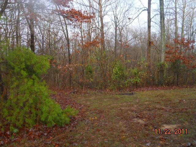 9139 East 40 Road Bon Aqua, TN 37025 - Photo 11 of 11 BACK YARD