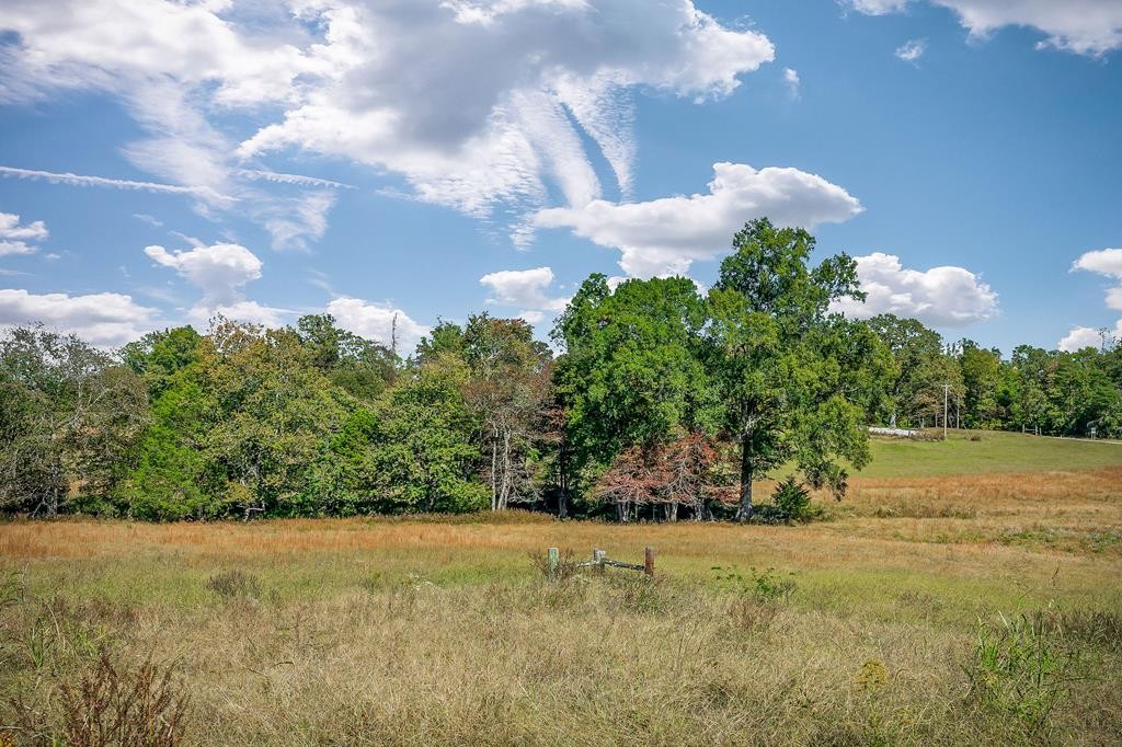 0 Old Kentucky Road Walling, TN 38587 - Photo 8 of 9 a view of a yard