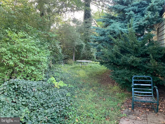 a view of outdoor space and yard