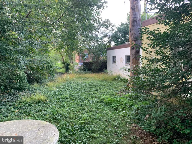 a backyard of a house with plants and large trees