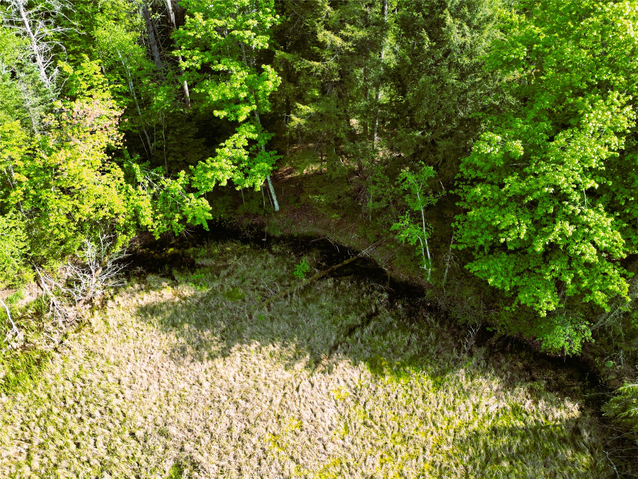 W9902 Flohr Road Ladysmith, WI 54848 - Photo 41 of 48