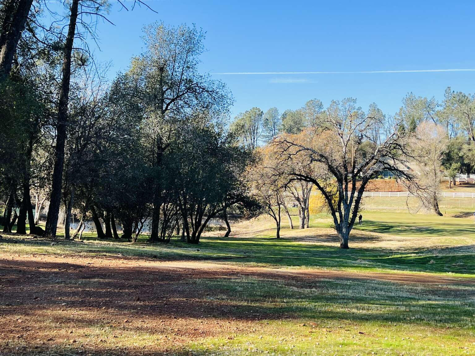 13498 Tierra Heights Road Redding, CA 96003 - Photo 2 of 7 a view of grassy field with trees