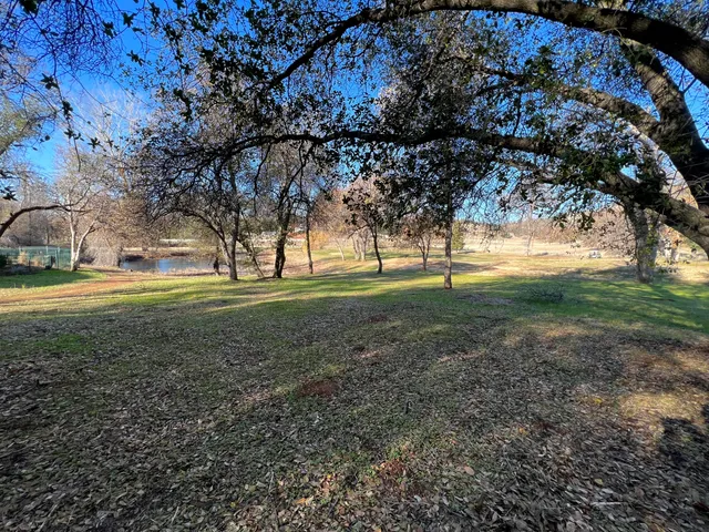 a view of dirt field with large trees