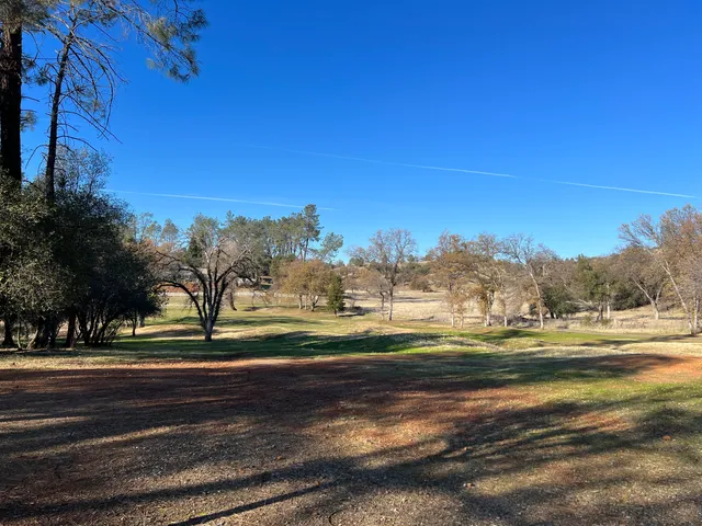 a view of big yard with a big yard