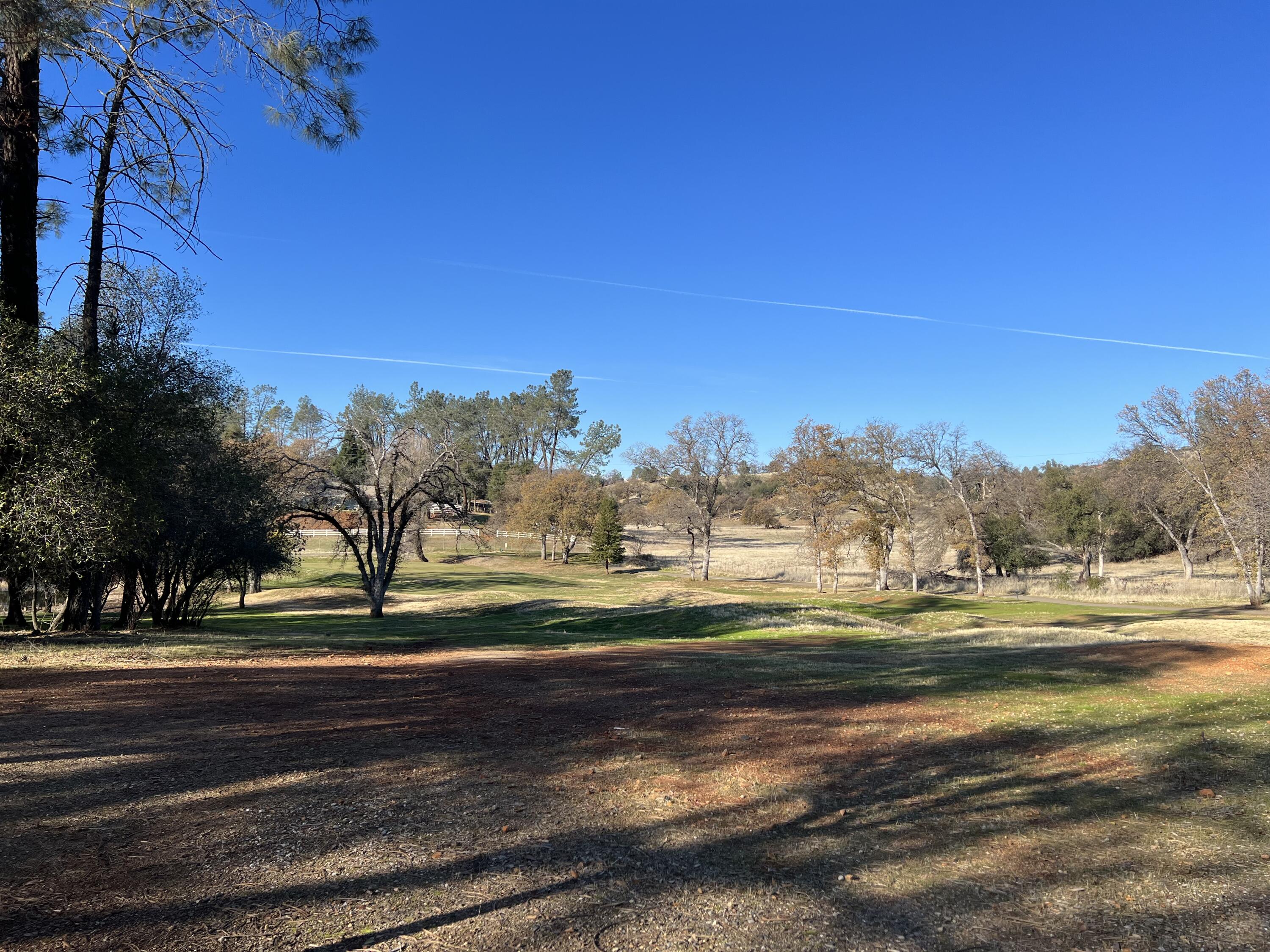 13498 Tierra Heights Road Redding, CA 96003 - Photo 5 of 7 a view of big yard with a big yard