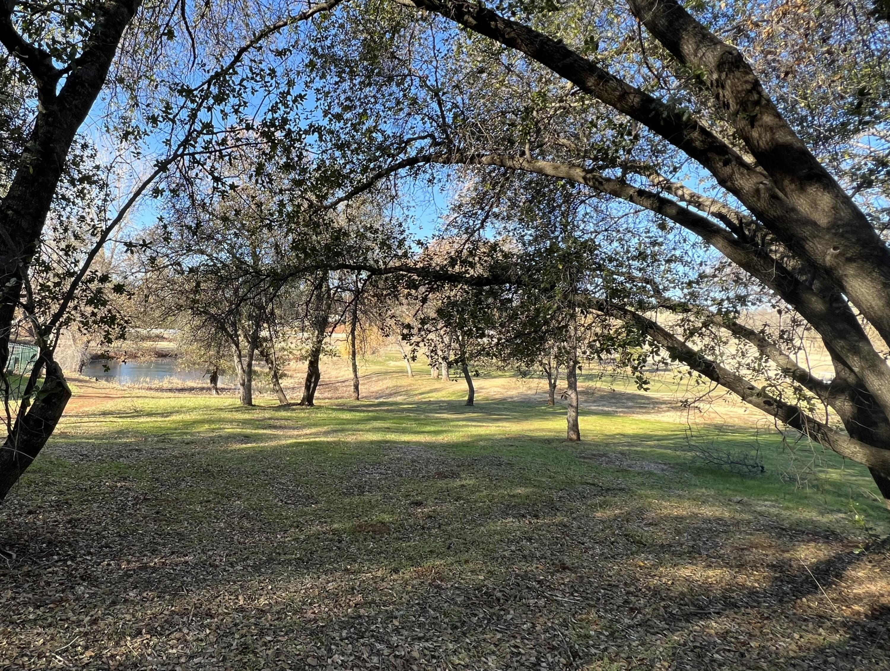 13498 Tierra Heights Road Redding, CA 96003 - Photo 6 of 7 a big yard with lots of green space