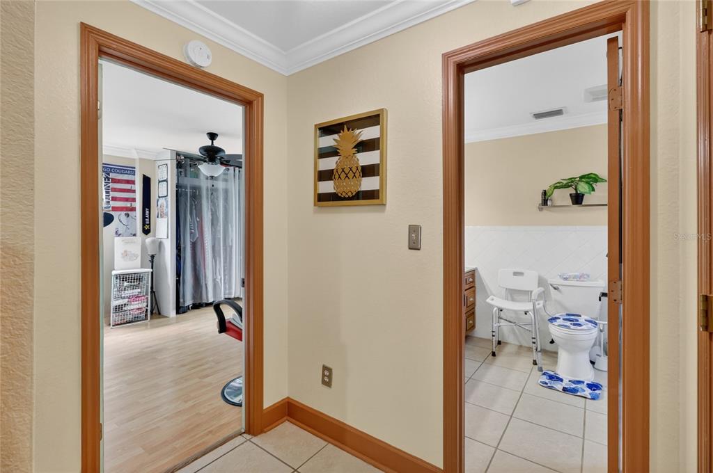 3126 Toole Road Lithia, FL 33547 - Photo 22 of 66