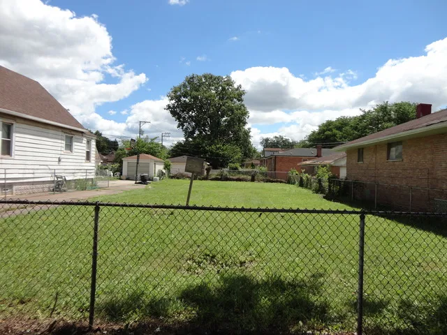 a view of a backyard