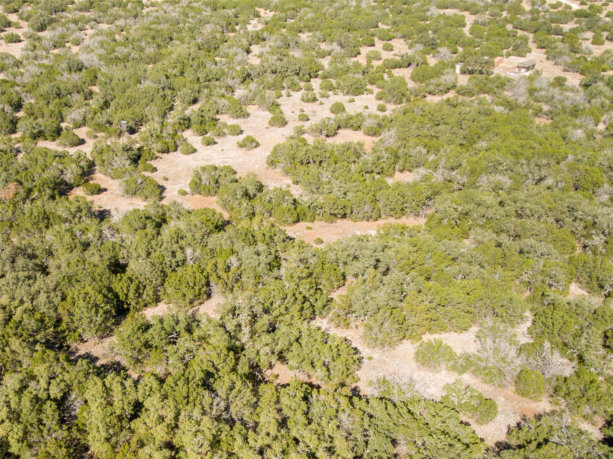2010 Sd24740 Rocksprings, TX 78880 - Photo 16 of 29 a view of a yard