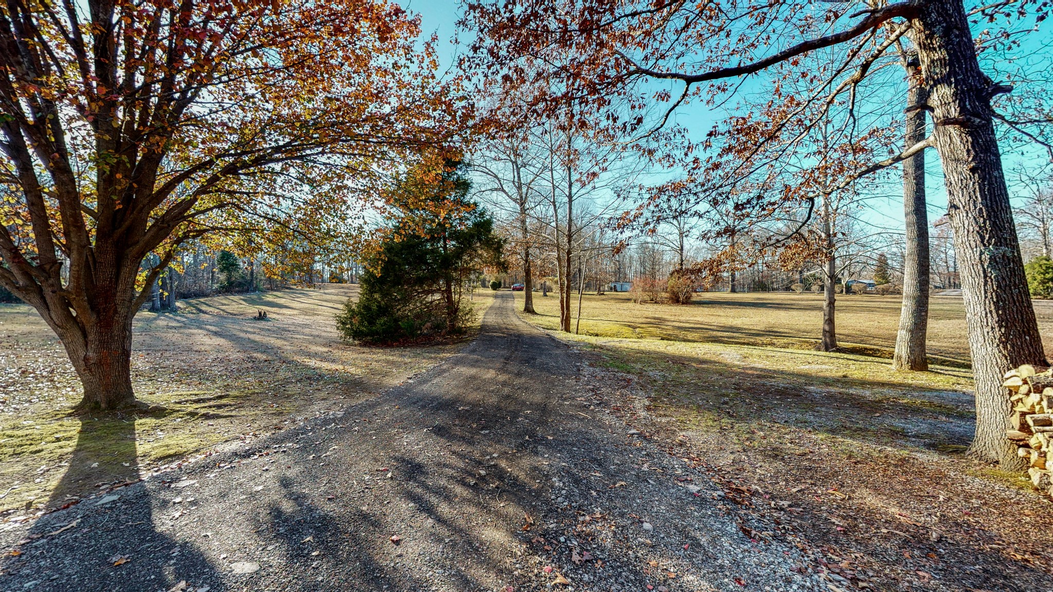 1225 Manley Loop Dickson, TN 37055 - Photo 34 of 50 a view of yard with tree