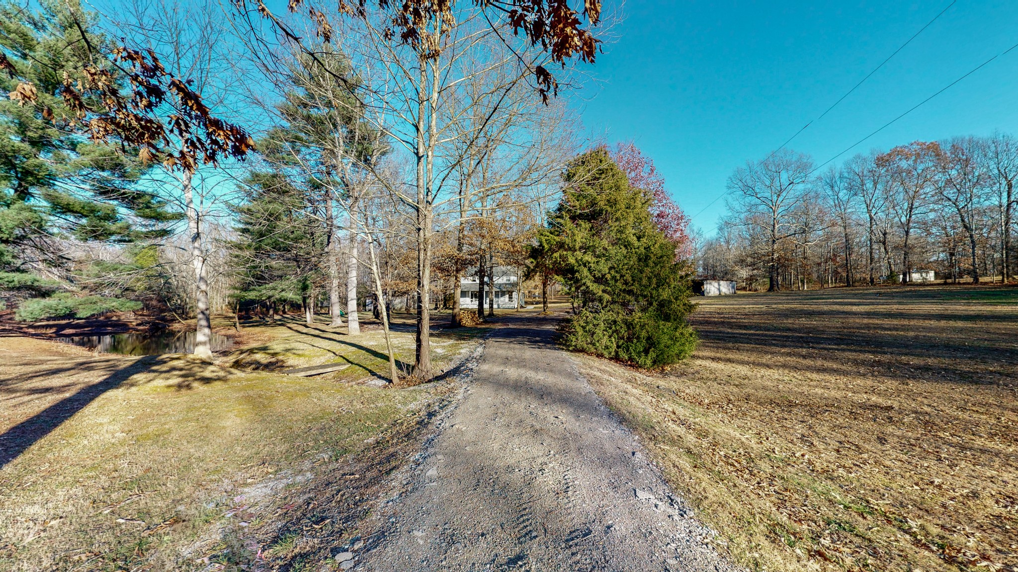 1225 Manley Loop Dickson, TN 37055 - Photo 39 of 50 a view of a yard with tree s