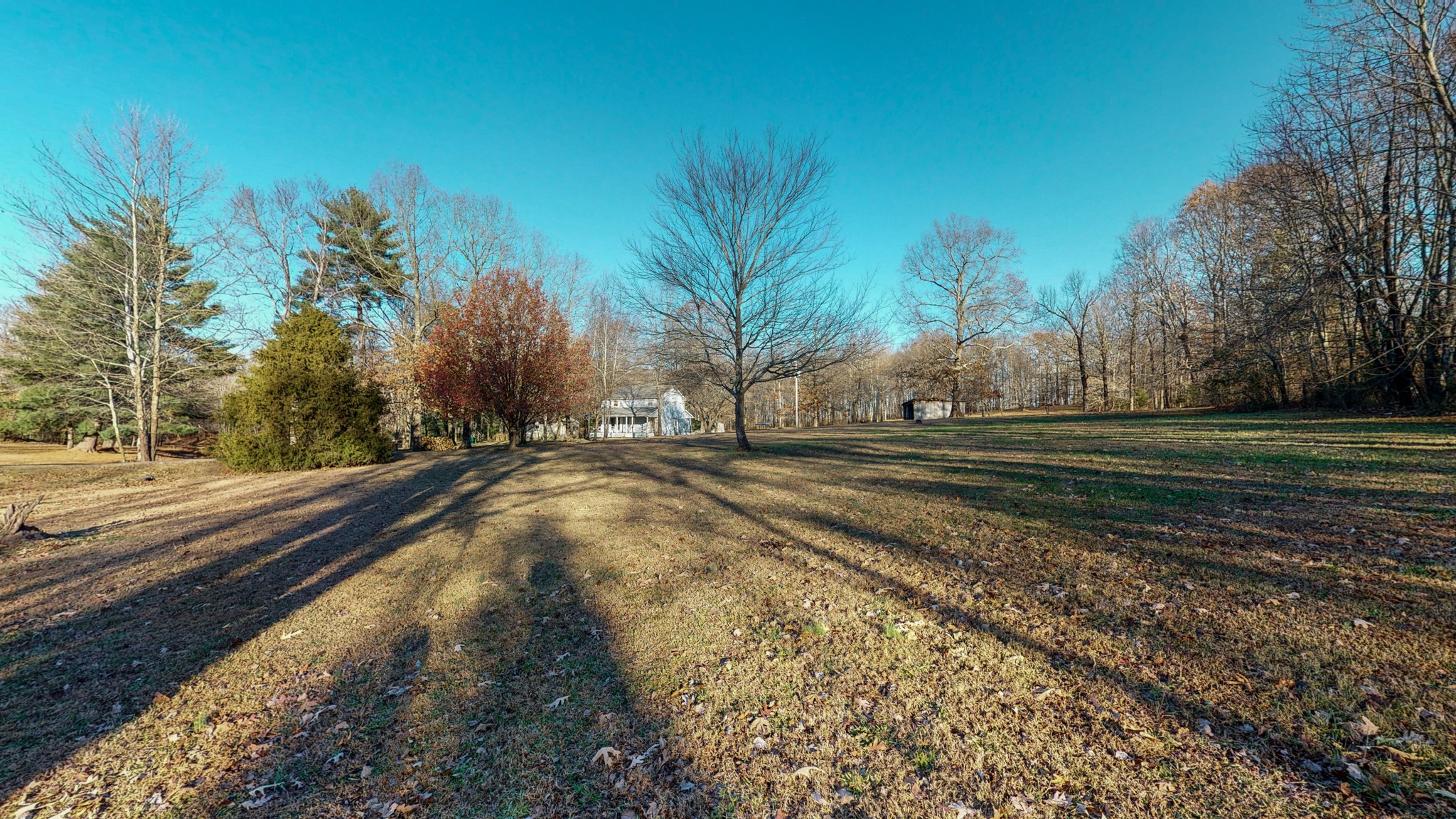 1225 Manley Loop Dickson, TN 37055 - Photo 40 of 50 a view of yard with tree
