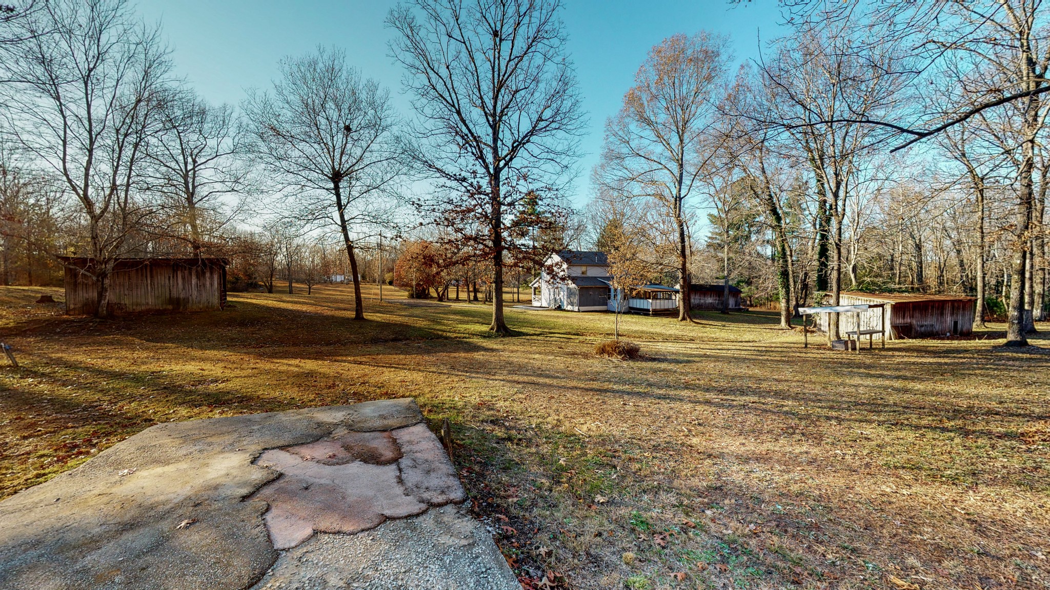1225 Manley Loop Dickson, TN 37055 - Photo 43 of 50 a view of road with large trees