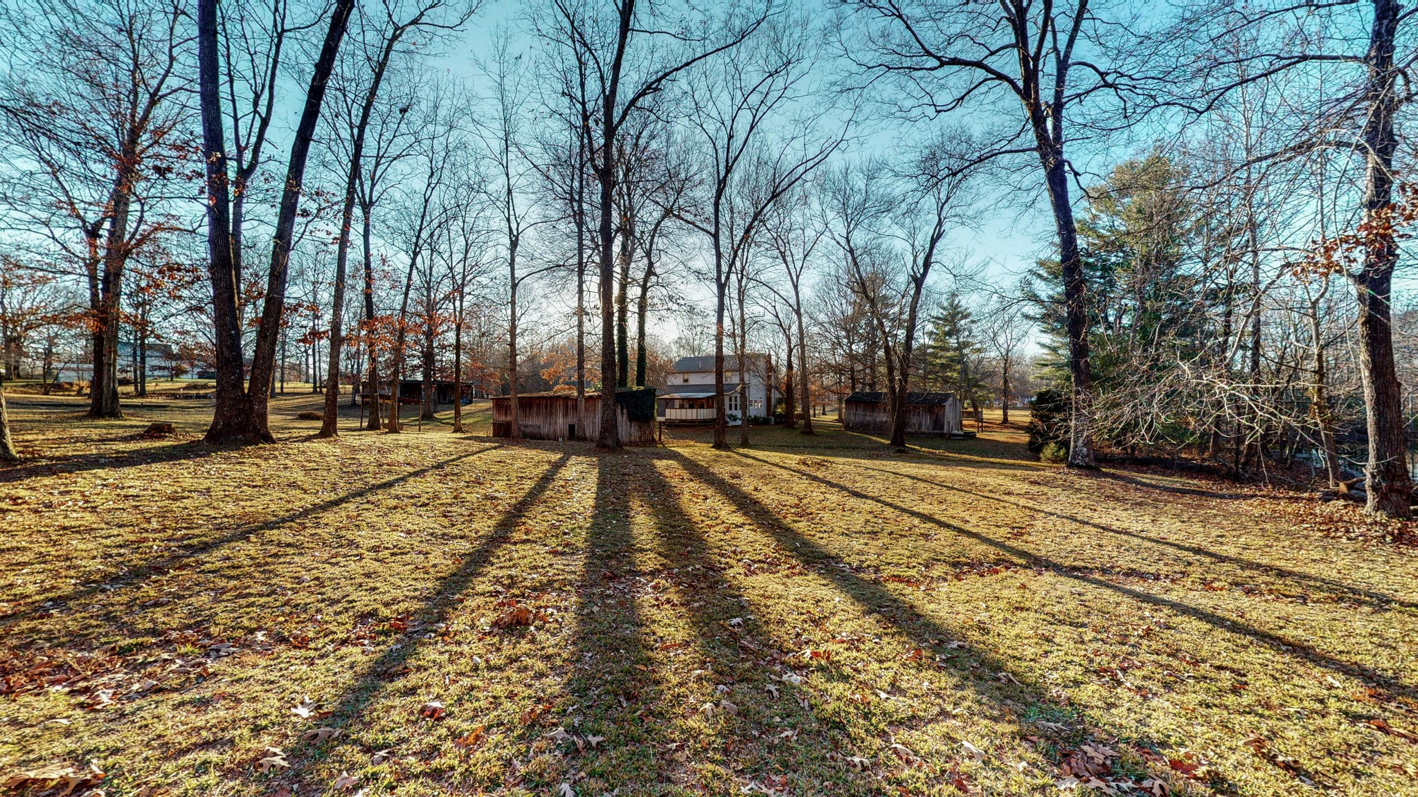 1225 Manley Loop Dickson, TN 37055 - Photo 45 of 50 a view of road with trees