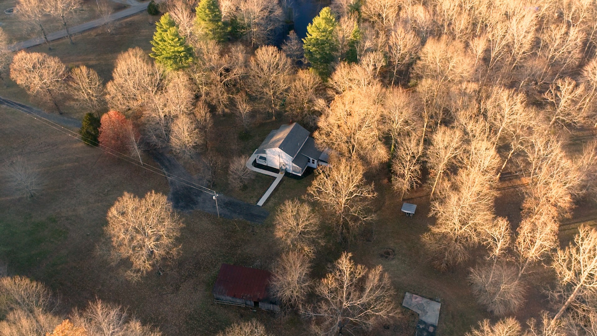 1225 Manley Loop Dickson, TN 37055 - Photo 49 of 50 a backyard of a house