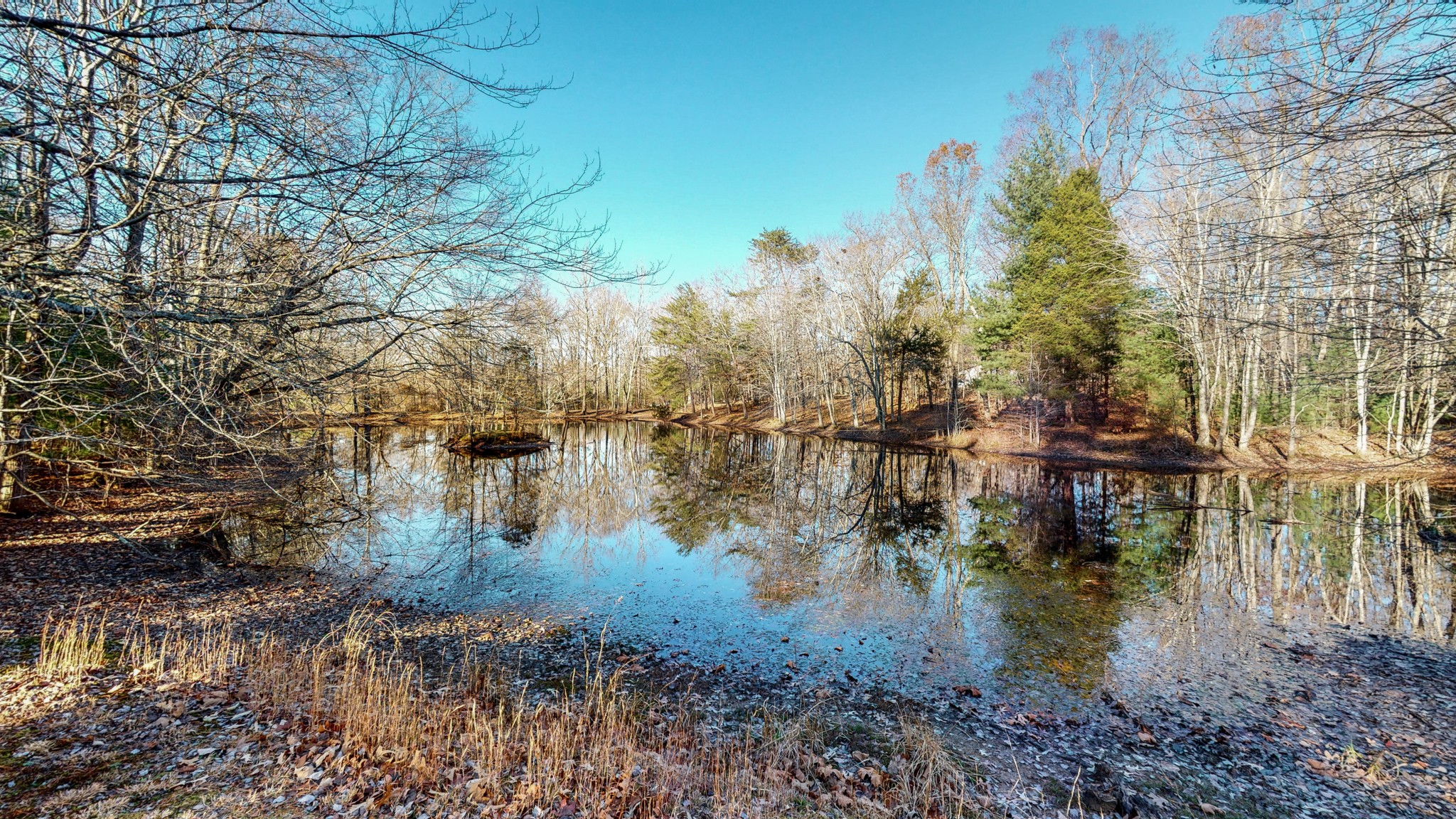 1225 Manley Loop Dickson, TN 37055 - Photo 6 of 50 a view of lake