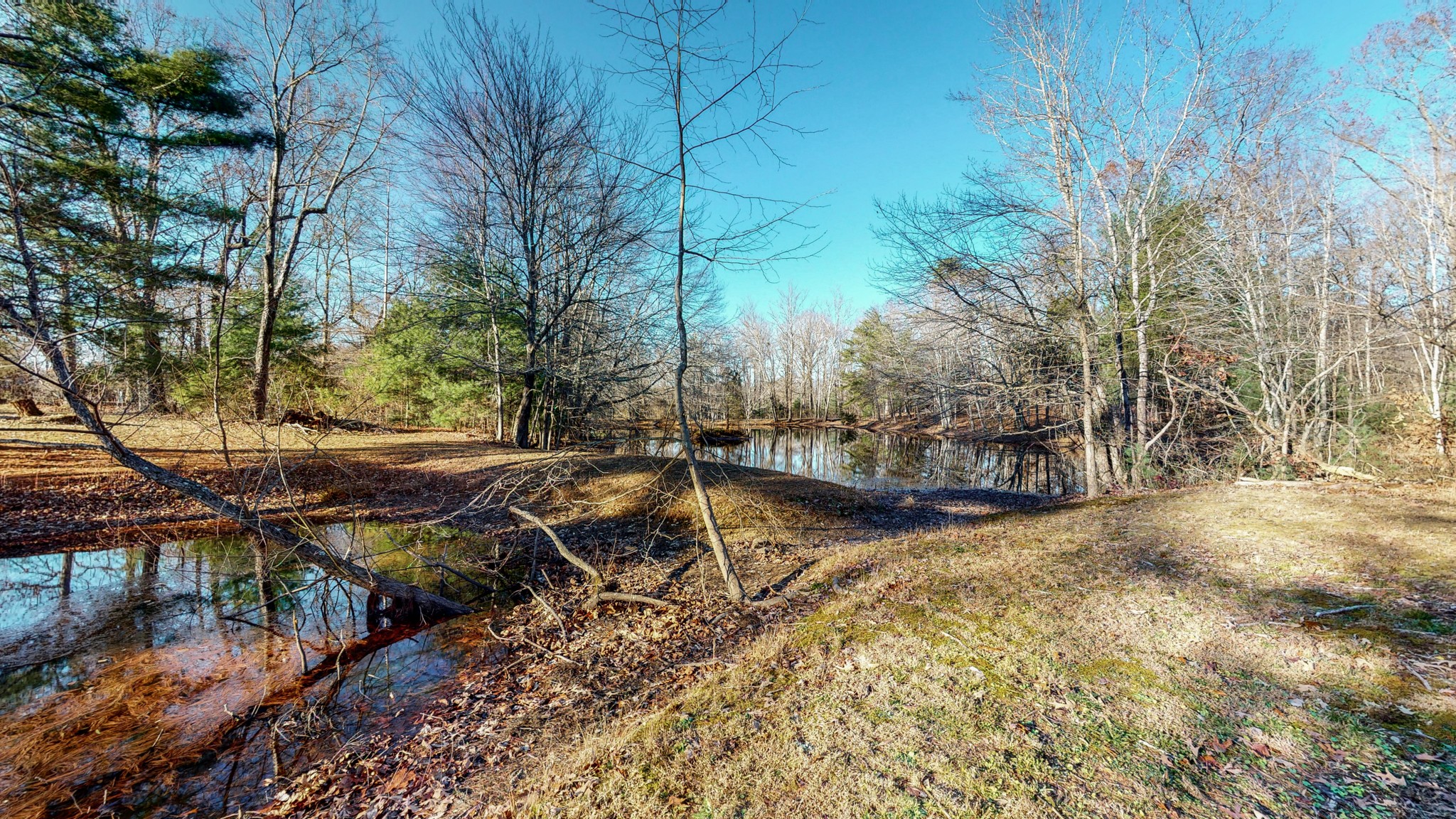 1225 Manley Loop Dickson, TN 37055 - Photo 7 of 50 a view of backyard with swimming pool