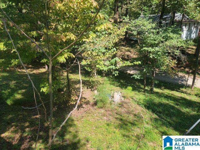 1146 County Road 546 Verbena, AL 36091 - Photo 17 of 32