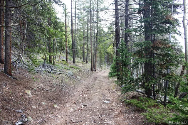 a view of outdoor space and trees