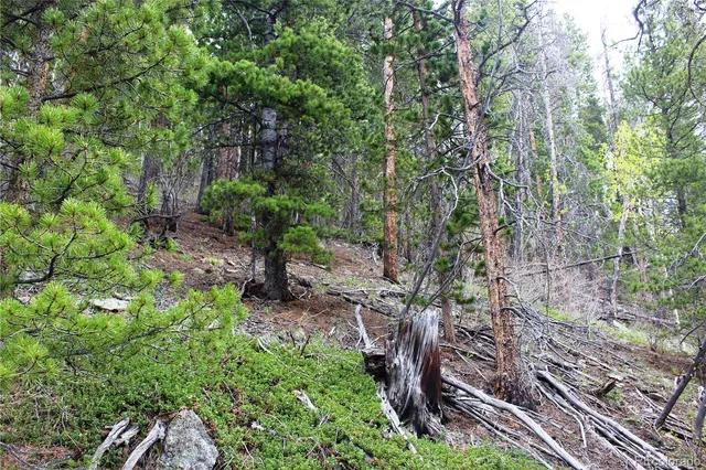 a backyard of a house with lots of trees