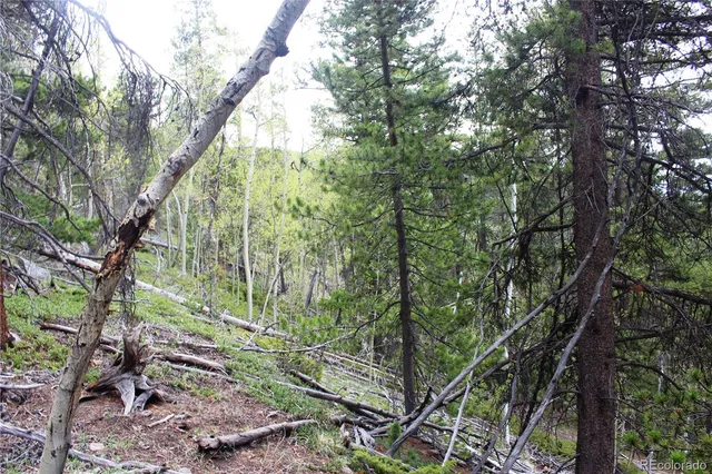 a view of an outdoor space with a tree