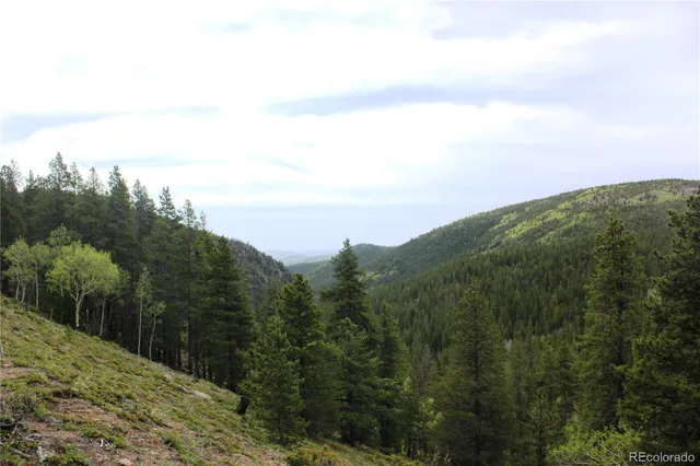 a view of a dry yard with trees