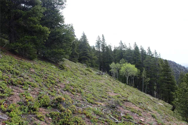 a view of a mountain range with trees