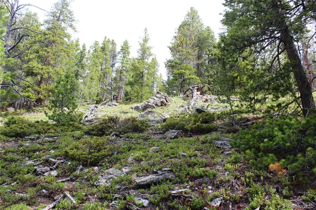 a yard with lots of green space