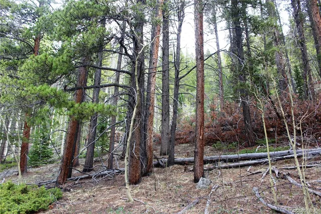 a backyard of a house with lots of trees and wooden fence