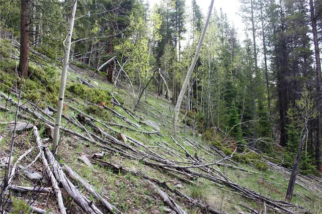 a view of a back yard