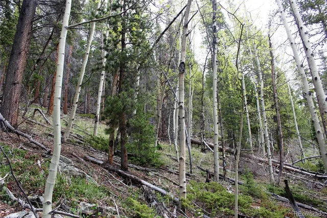 a view of outdoor space and green space
