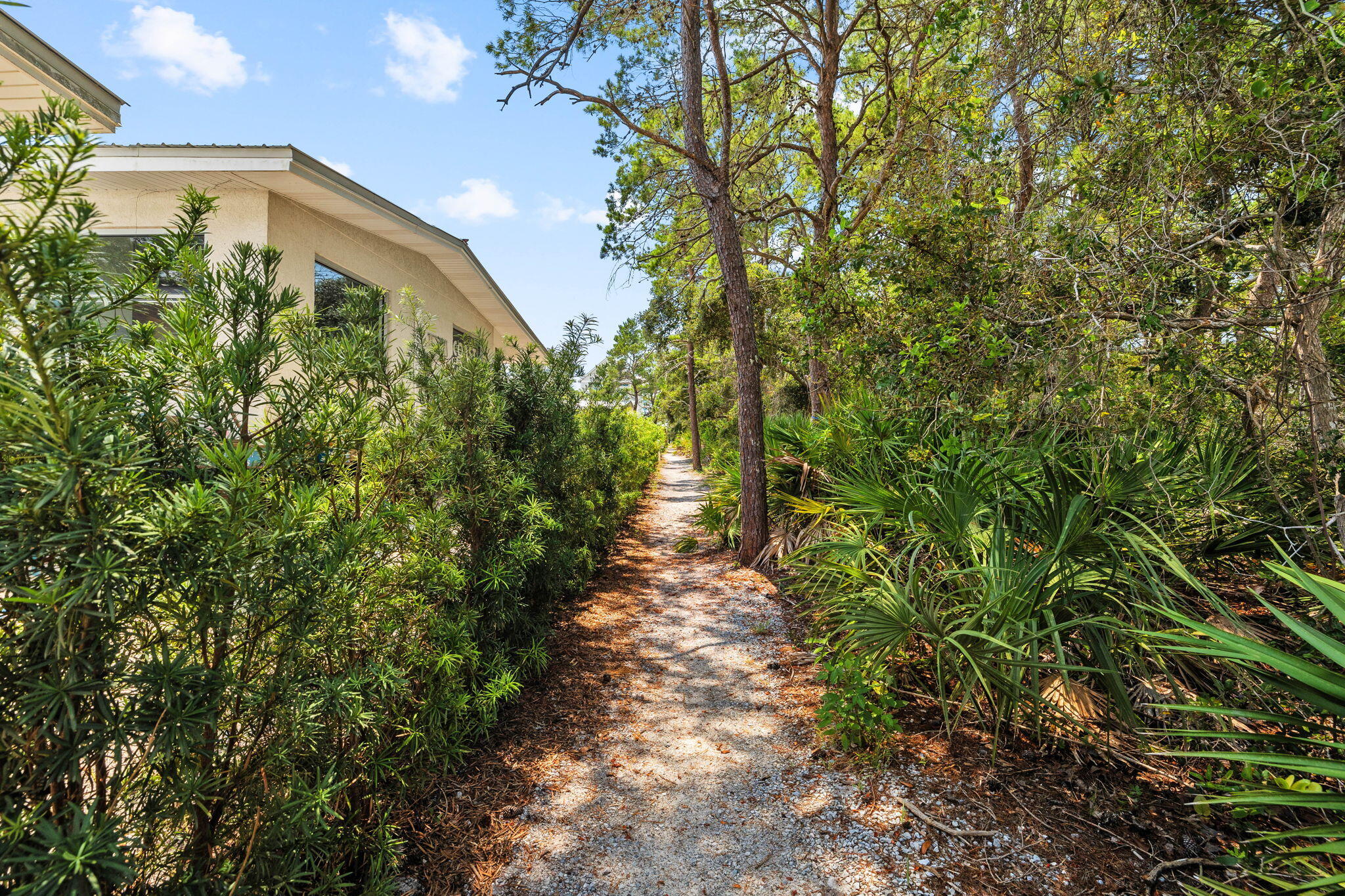 4545 East County Highway 30A, Unit B202 Santa Rosa Beach, FL 32459 - Photo 41 of 42 a close up of a plant in a garden