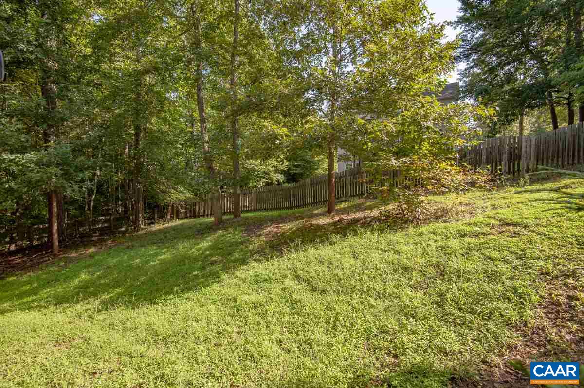 3 Bernardsburg Road Palmyra, VA 22963 - Photo 31 of 38 a view of a yard with a tree