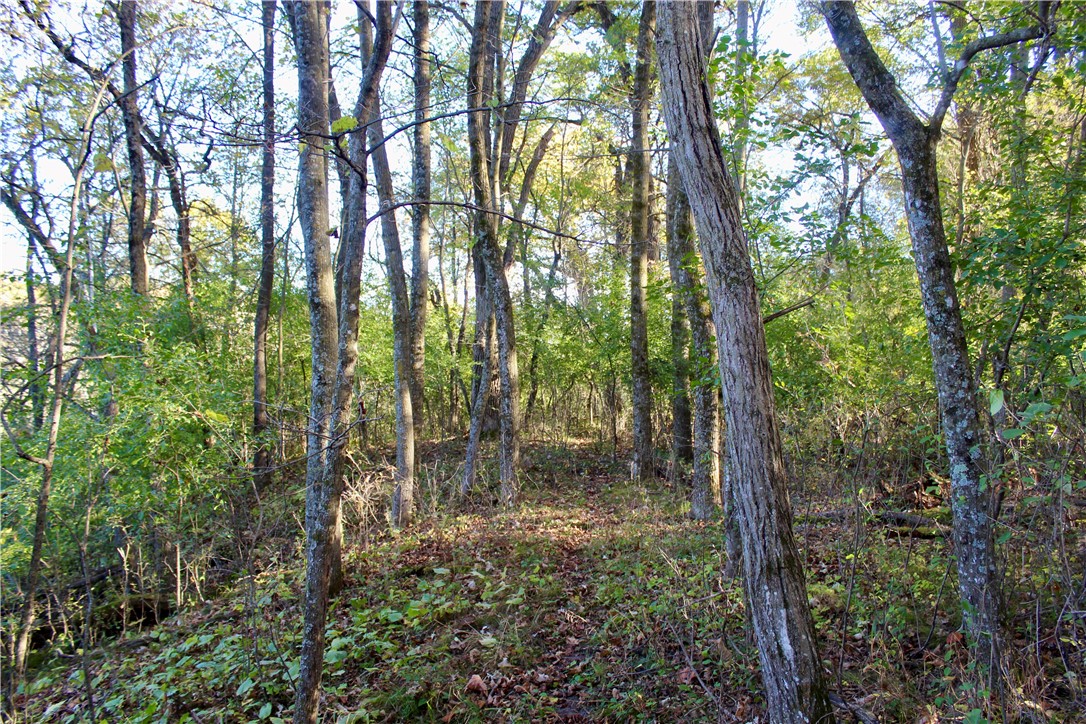0 South Lowes Creek Road Eau Claire, WI 54701 - Photo 53 of 59