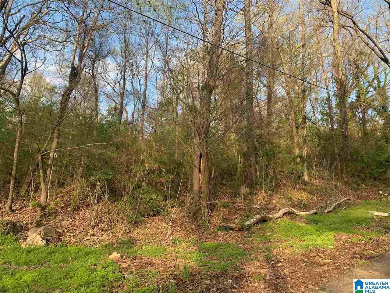 941 80th Street South, Unit 2 Birmingham, AL 35206 - Photo 5 of 5