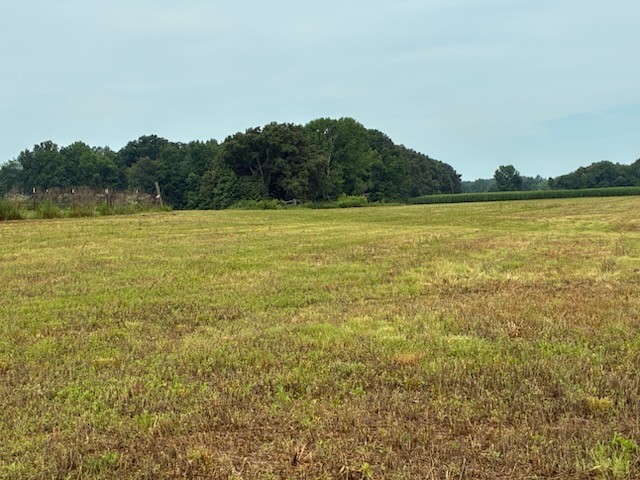 0 Rushing Road Ethridge, TN 38456 - Photo 9 of 9